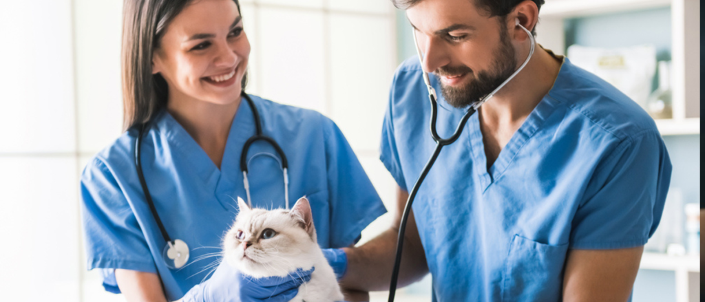 From Furry Friends to Loyal Clients Mastering Veterinary Practice Marketing