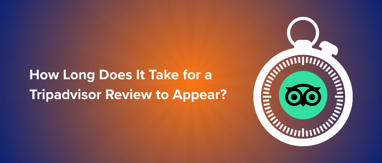 Tripadvisor Review Not Showing Up? Here’s What You Need to Know